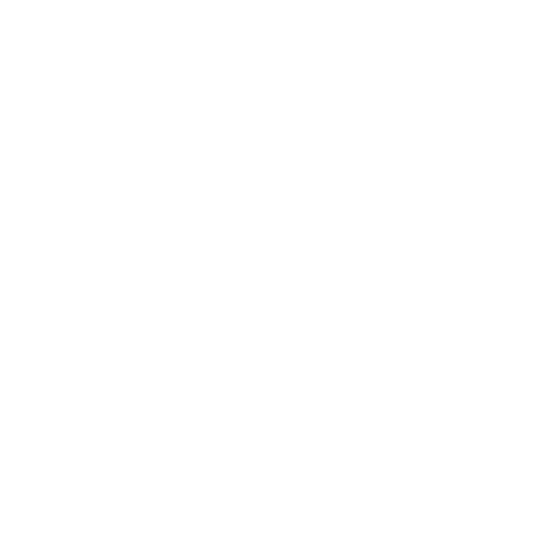 ZONEZI 